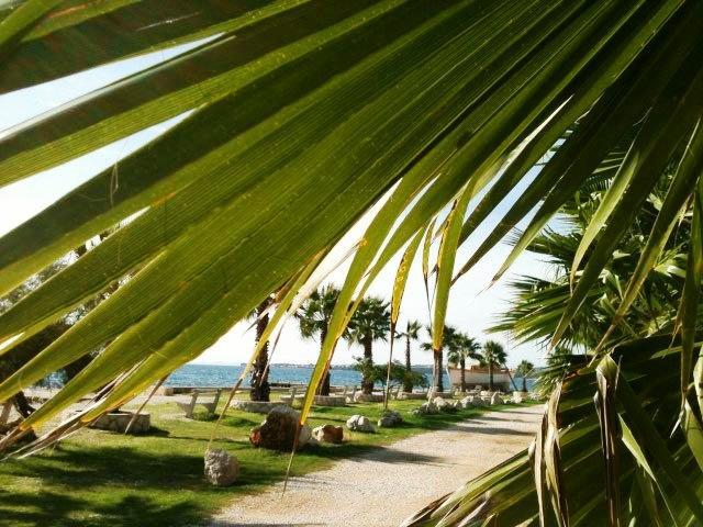 Deby Beach House Вир Экстерьер фото